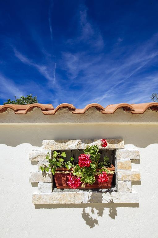 Olive House Zadar Villa Luaran gambar